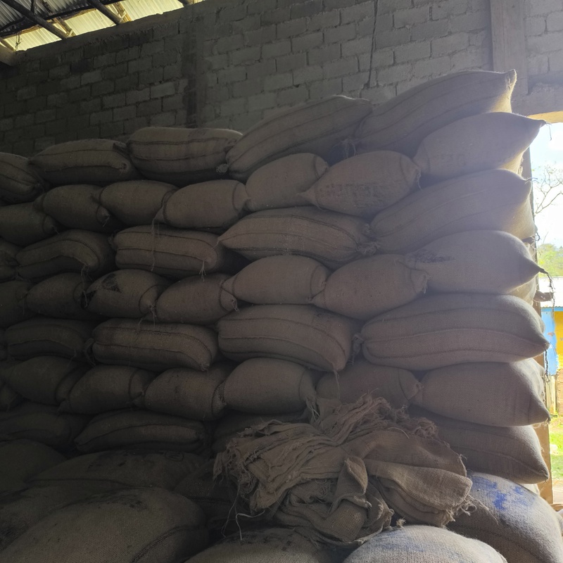 Coffee almost ready for shipping