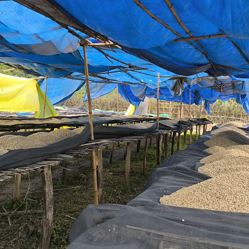 our drying shade