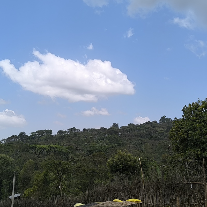 Our site at the heart of Gedio zone